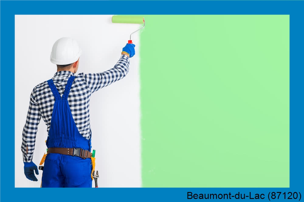 travaux peinture intérieur Beaumont-du-Lac-87120