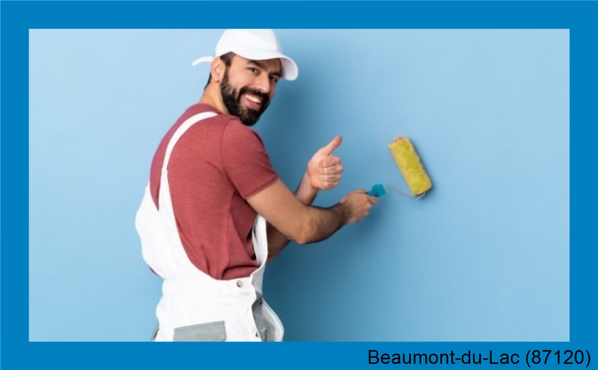 rénovation peinture Beaumont-du-Lac-87120