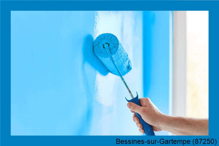 votre artisan peintre Bessines-sur-Gartempe-87250