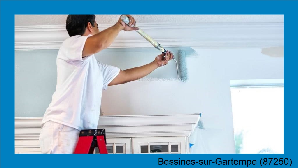 peintre en décorationBessines-sur-Gartempe-87250