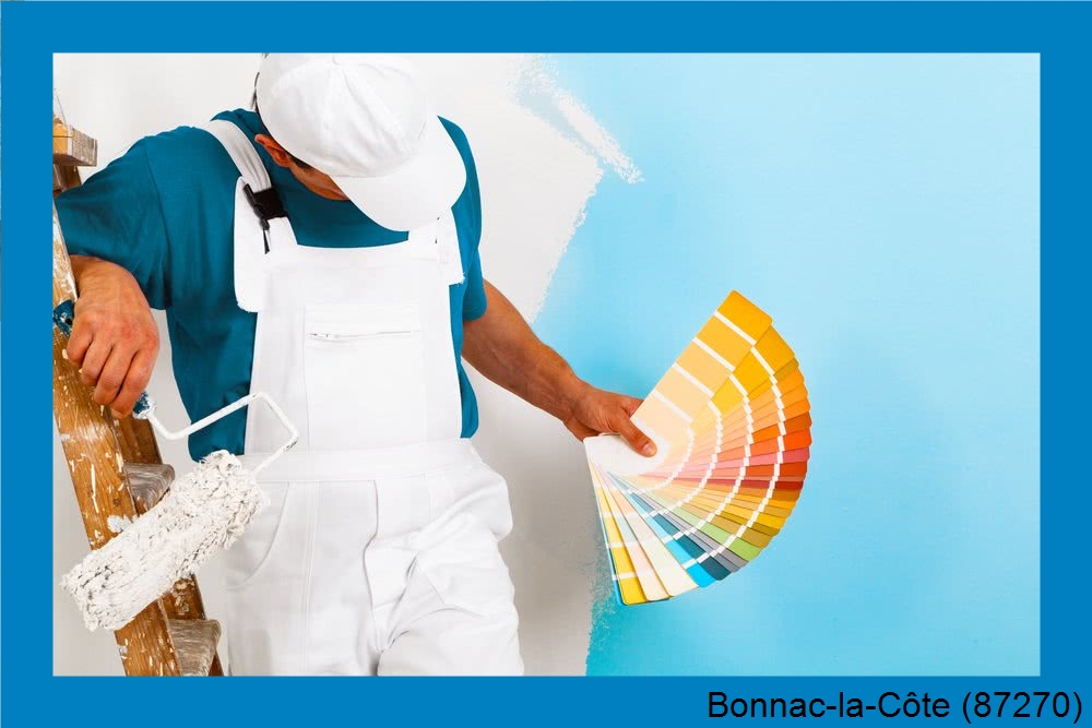 entreprise de peinture intérieur Bonnac-la-Côte-87270