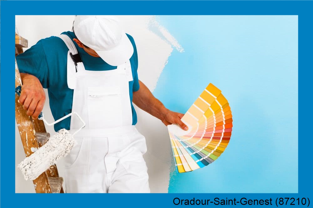 entreprise de peinture intérieur Oradour-Saint-Genest-87210