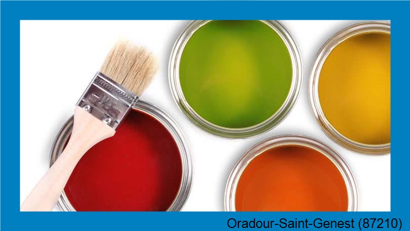 rénovation peintureOradour-Saint-Genest-87210