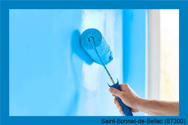 votre artisan peintre Saint-Bonnet-de-Bellac-87300