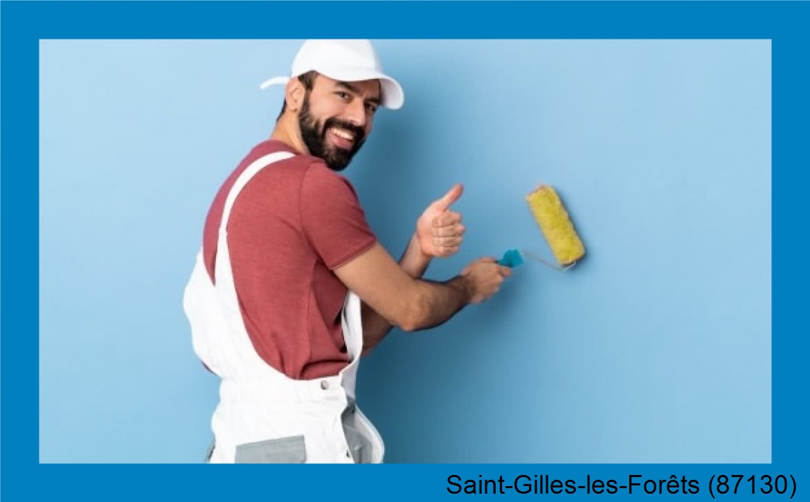 rénovation peinture Saint-Gilles-les-Forêts-87130